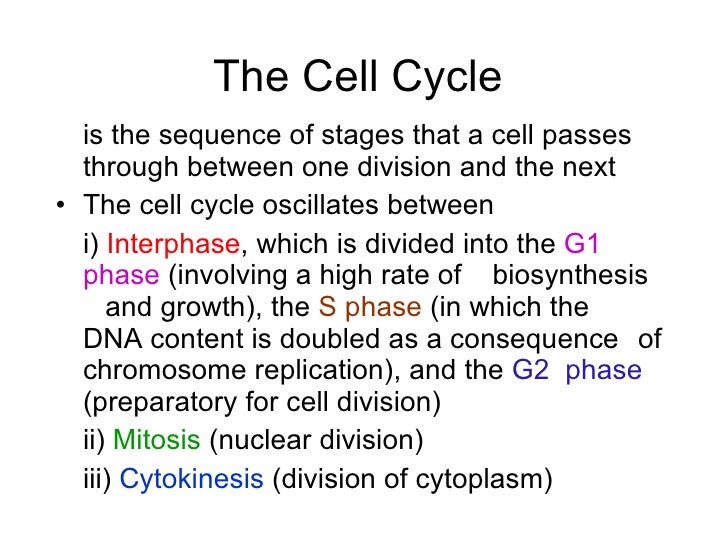 cell cycle introduction activity cell division mitosis and meiosis